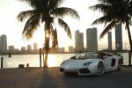 Lamborghini Aventador LP700-4 Roadster 2012 года